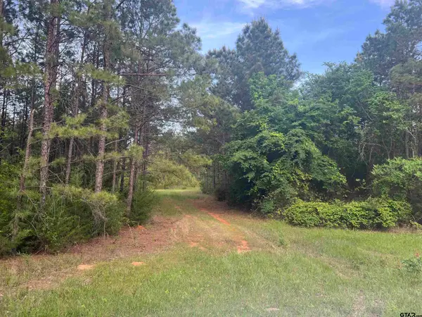 Tract 3 CR 477, Henderson, TX 75654