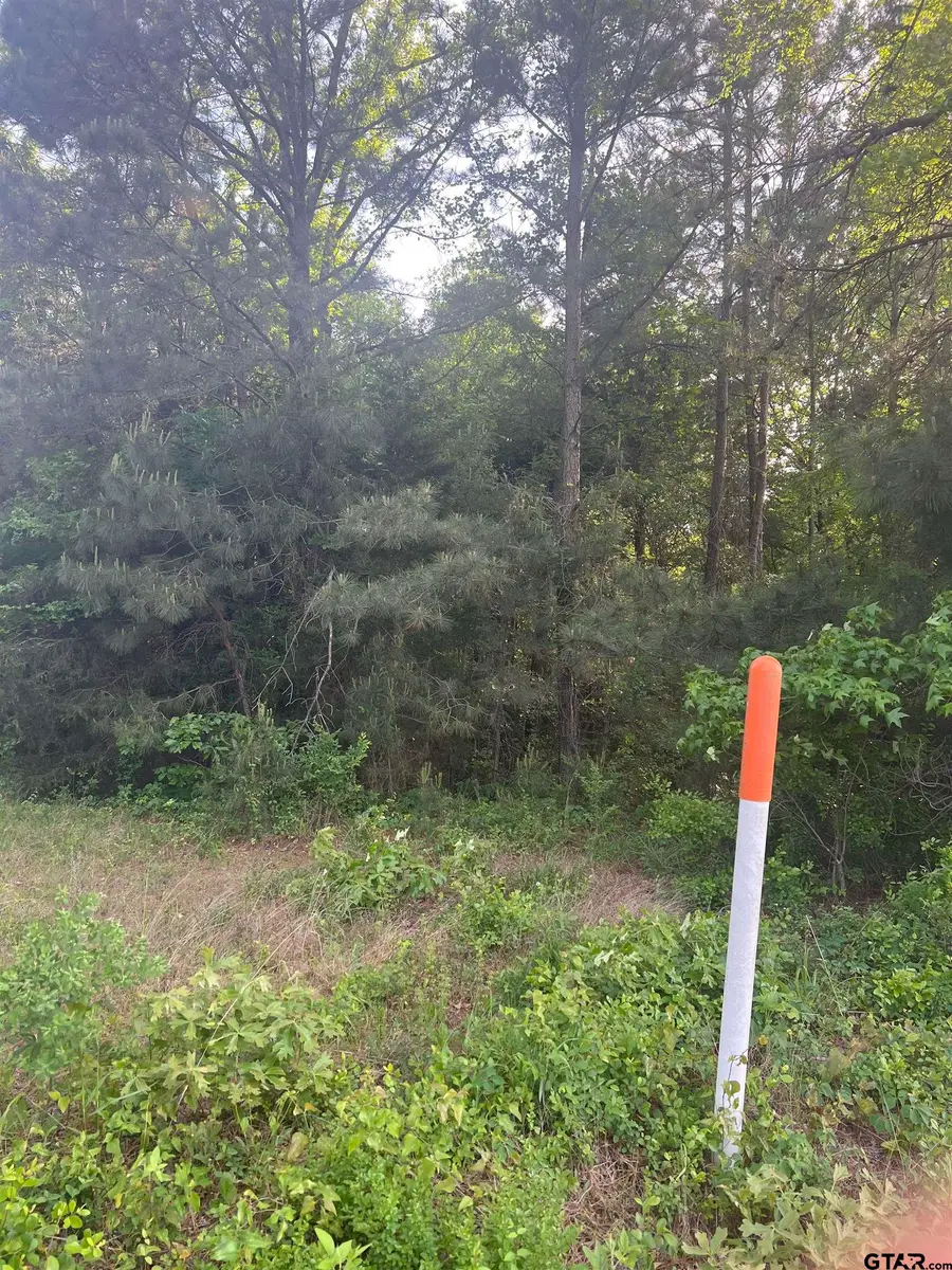 Tract 3 CR 477, Henderson, TX 75654 - Image #2