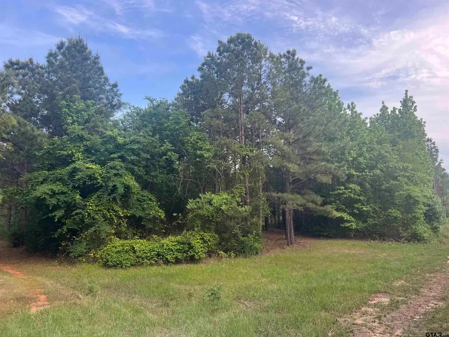 Tract 3 CR 477, Henderson, TX 75654 - Image #3