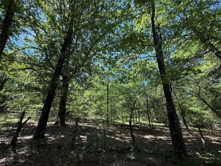 72 Acres N Farm Road 900, Saltillo, TX 75478 - Image #3