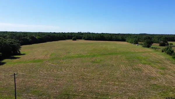 TBD County Road 4930, Quitman, TX 75783