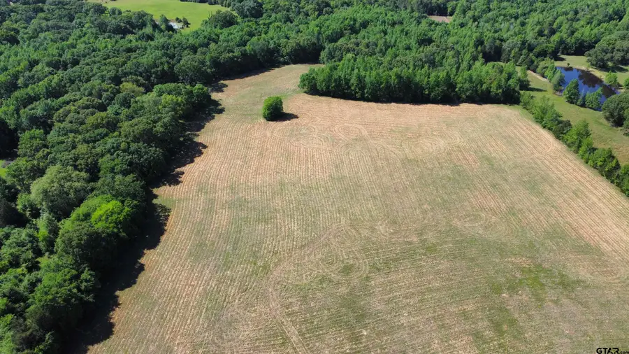 TBD County Road 4930, Quitman, TX 75783 - Image #2