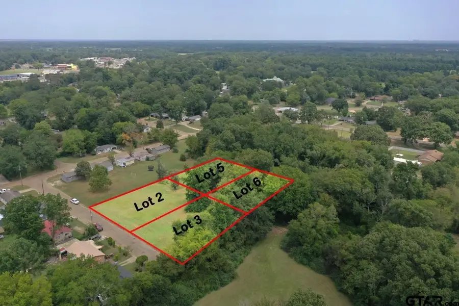 TBD Pineland ST LOT 2 and 5, Pittsburg, TX 75686 - Image #3