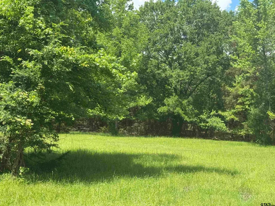 Lot 70 Cypress Cr, Mount Vernon, TX 75457 - Image #2