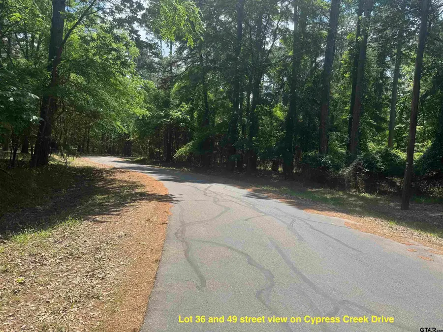 Lot 36 Cypress Creek Dr, Mount Vernon, TX 75457 - Image #2