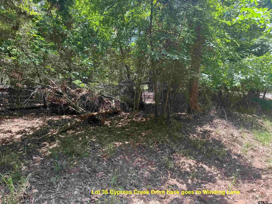 Lot 36 Cypress Creek Dr, Mount Vernon, TX 75457 - Image #3
