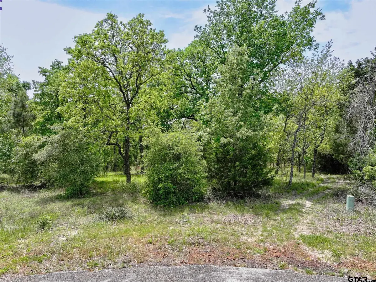 8950 Timber Ridge, Larue, TX 75770 - Image #1