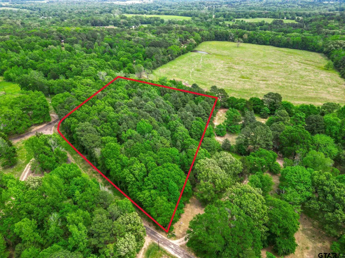 TBD Giraffe RD, Gilmer, TX 75644 - Image #1