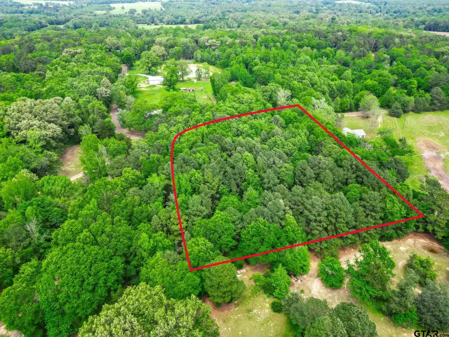 TBD Giraffe RD, Gilmer, TX 75644 - Image #2