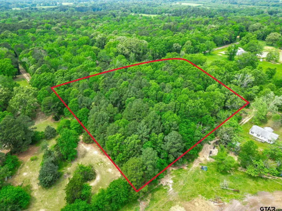 TBD Giraffe RD, Gilmer, TX 75644 - Image #3