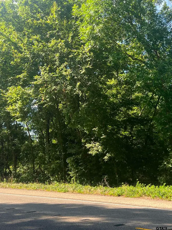 TBD N HWY 271, Talco, TX 75487