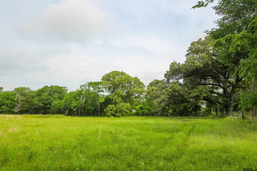 TBD VZ CR 2150, Wills Point, TX 75169 - Image #2