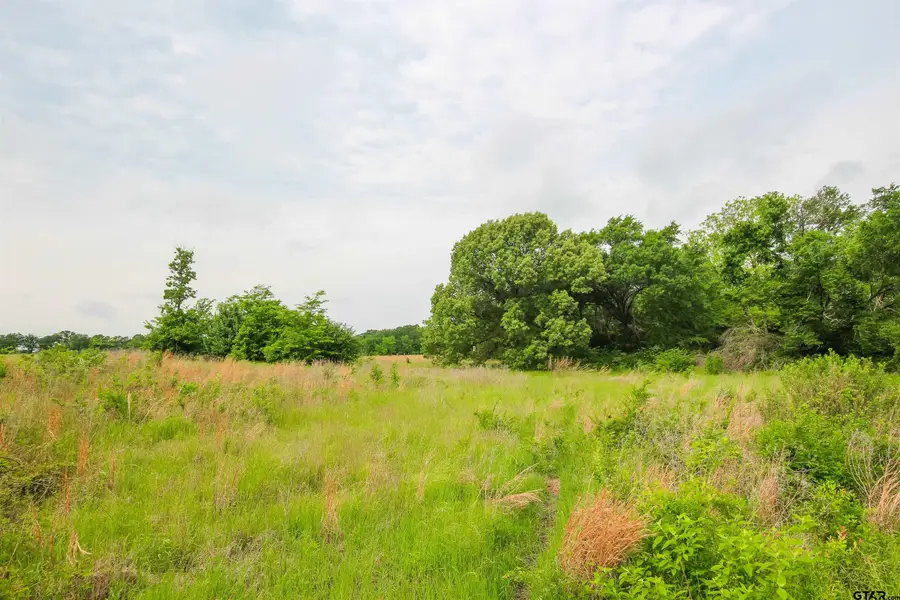 TBD VZ CR 2150, Wills Point, TX 75169 - Image #3