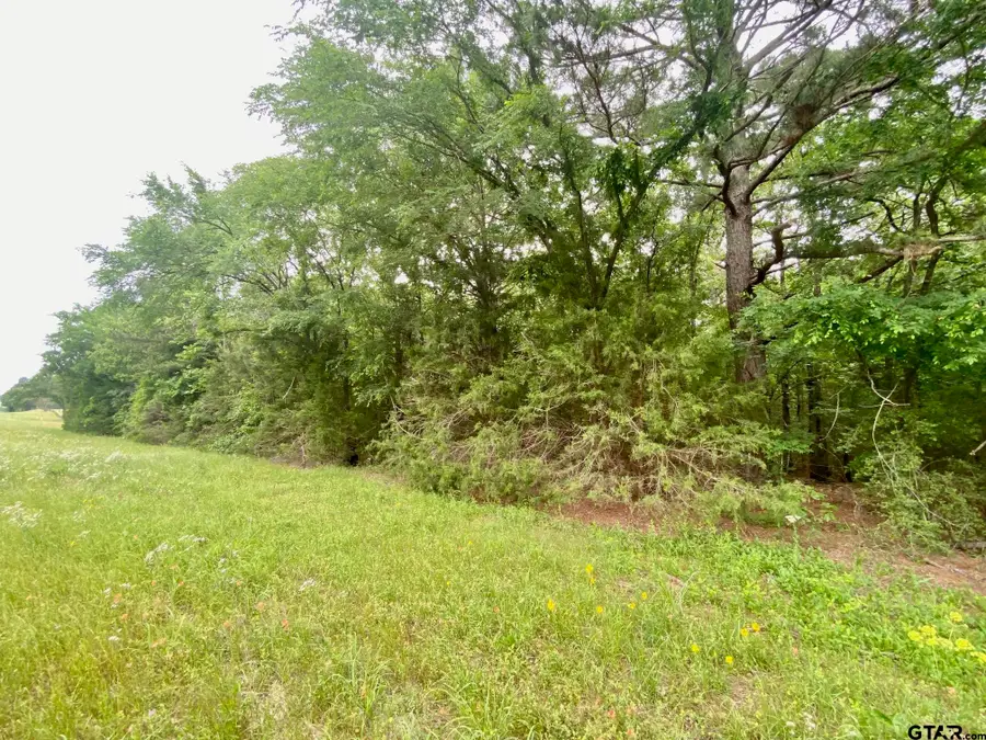 0 S State Highway 19, Elkhart, TX 75839 - Image #2