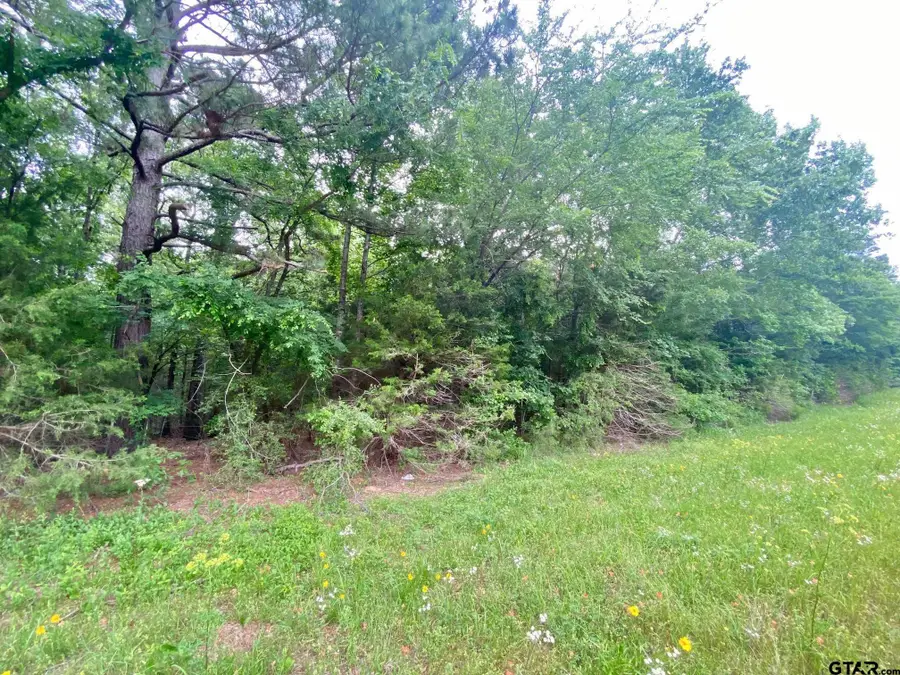 0 S State Highway 19, Elkhart, TX 75839 - Image #3