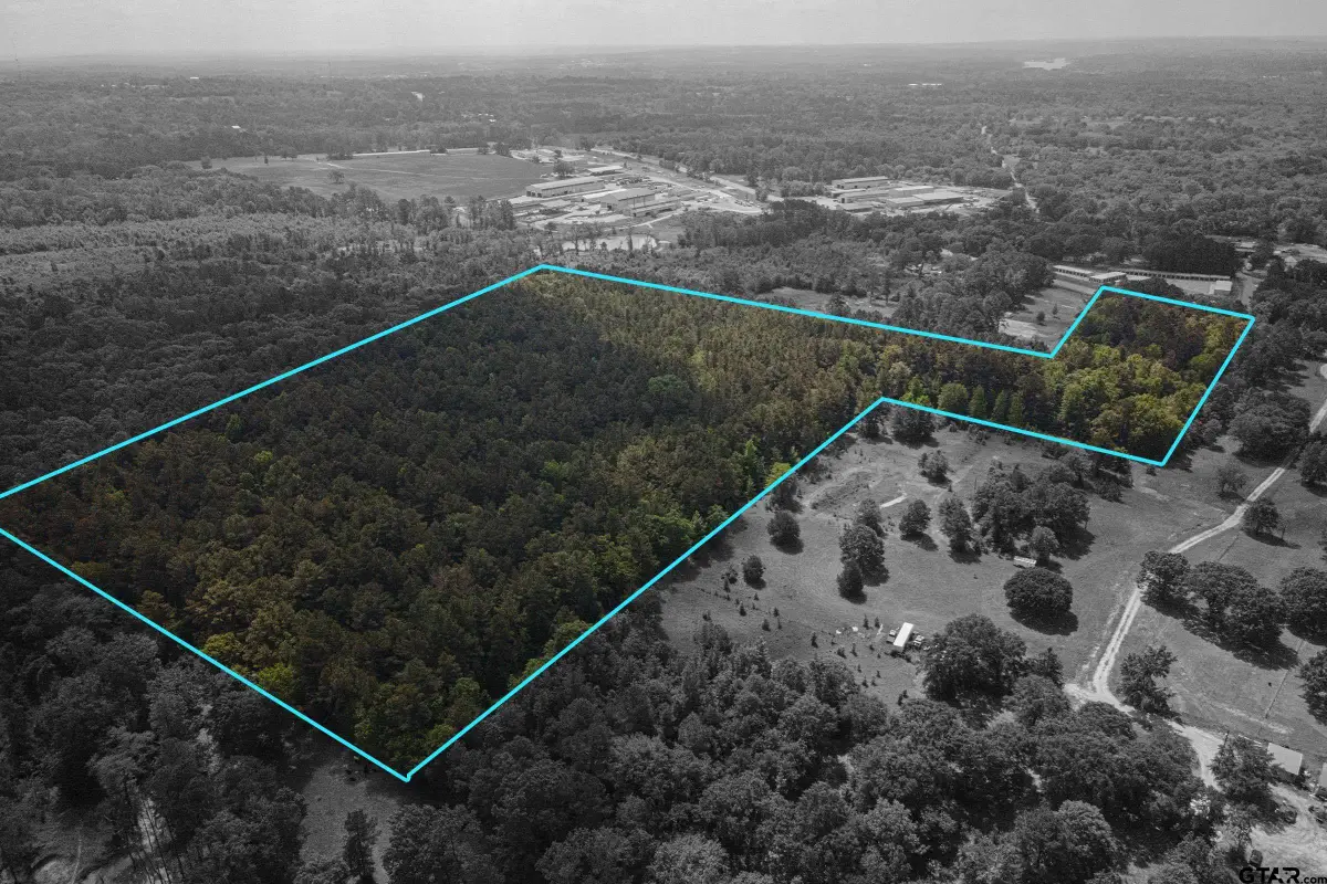 TBD HWY 175 (22.84 acres), Jacksonville, TX 75766 - Image #1