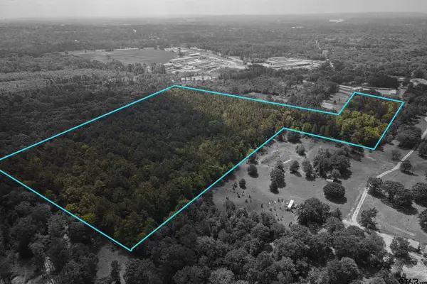 TBD HWY 175 (22.84 acres), Jacksonville, TX 75766