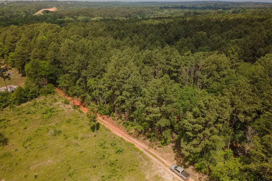 TBD HWY 175 (22.84 acres), Jacksonville, TX 75766 - Image #2