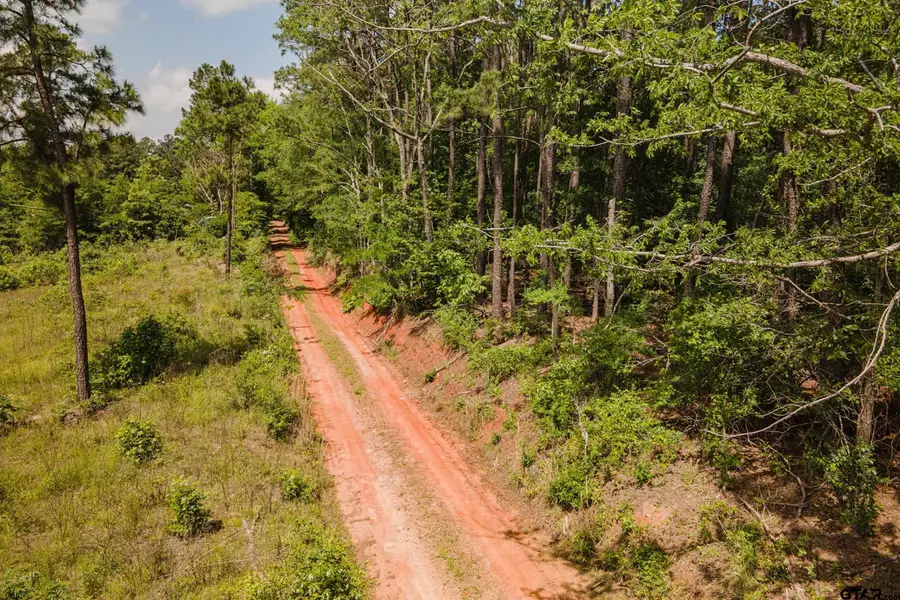 TBD HWY 175 (22.84 acres), Jacksonville, TX 75766 - Image #3
