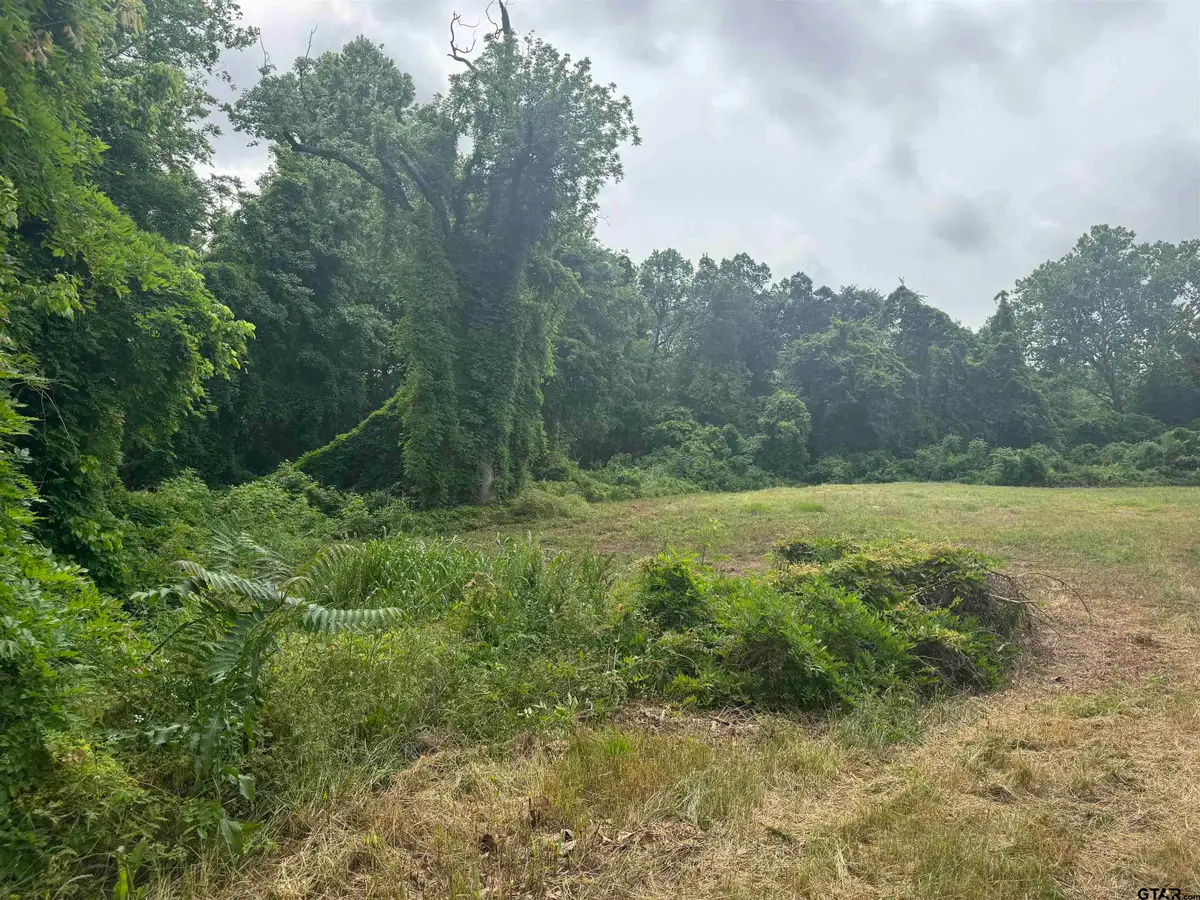 510 W Martin Luther King Jr Boulevard, Tyler, TX 75702 - Image #1