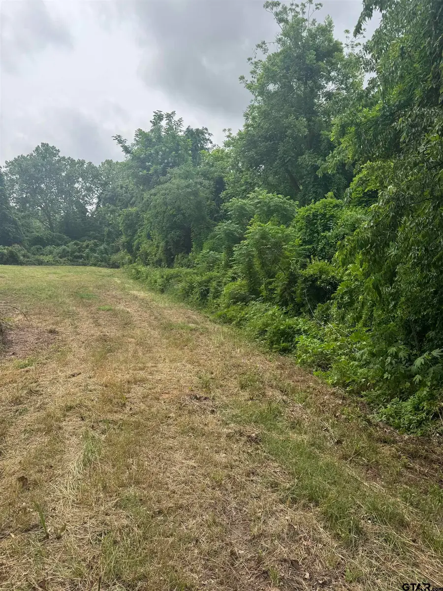 510 W Martin Luther King Jr Boulevard, Tyler, TX 75702 - Image #3