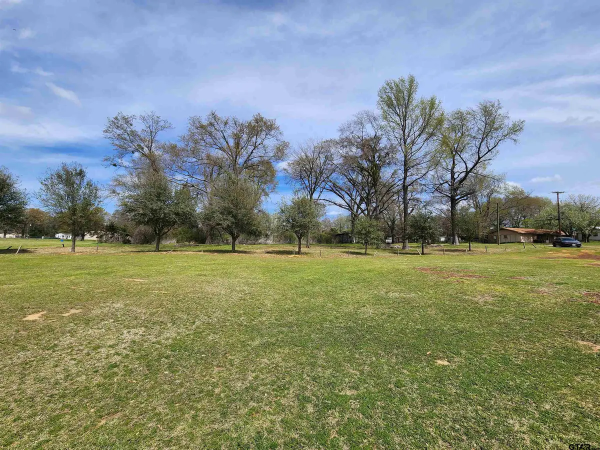 105 Easy St., Palestine, TX 75801 - #1