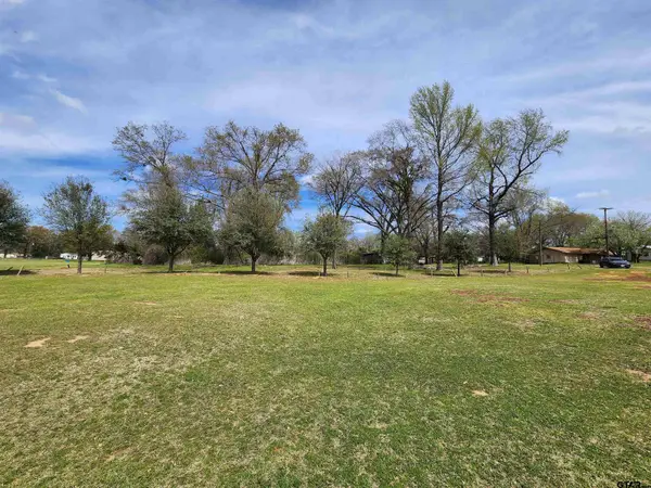 105 Easy St., Palestine, TX 75801