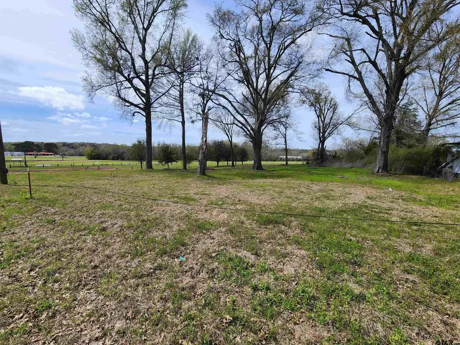 105 Easy St., Palestine, TX 75801 - #3