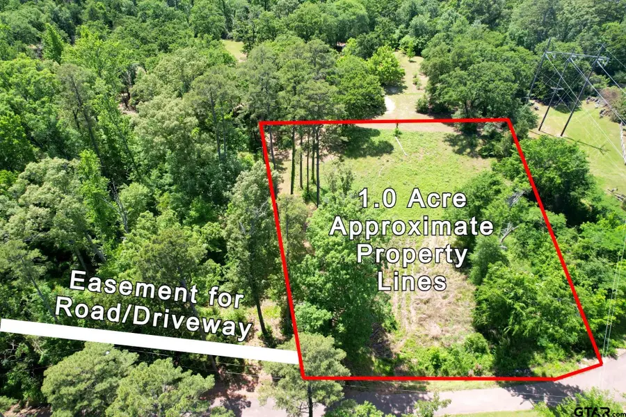 TBD Private Road 4403, Scroggins, TX 75480 - Image #2
