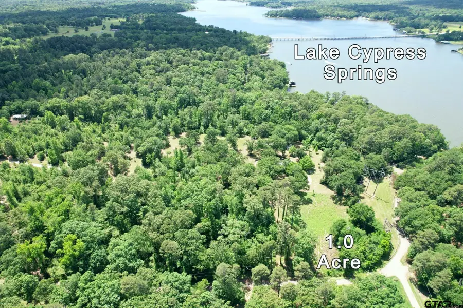 TBD Private Road 4403, Scroggins, TX 75480 - Image #3