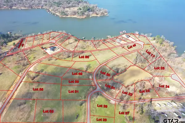 TBD LOT 17 SOUTHSHORES, Pittsburg, TX 75686