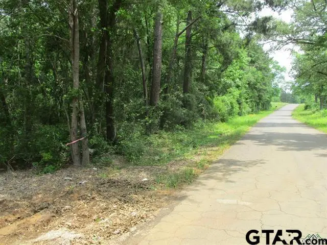 3200 Block CR 102 W, New London, TX 75682 - Image #3