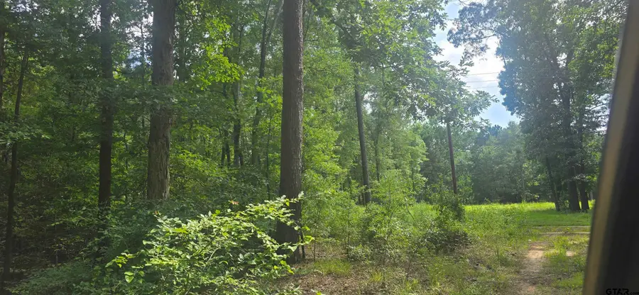 TBD Catalina Street, Ore City, TX 75683 - Image #2
