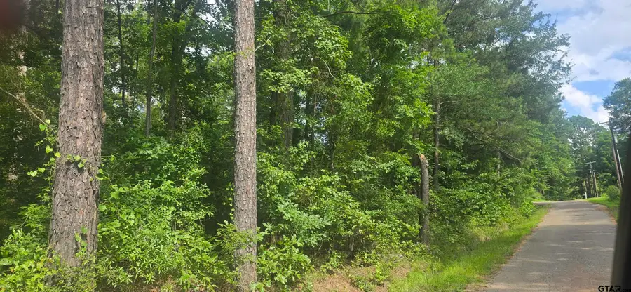 TBD Catalina Street, Ore City, TX 75683 - Image #3
