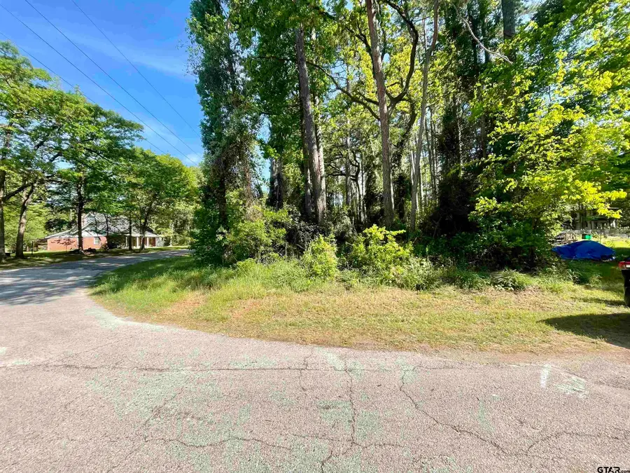 501 Charlya Dr, Bullard, TX 75757 - Image #2