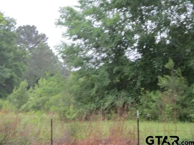 0000 S FM 839, Henderson, TX 75654 - Image #3