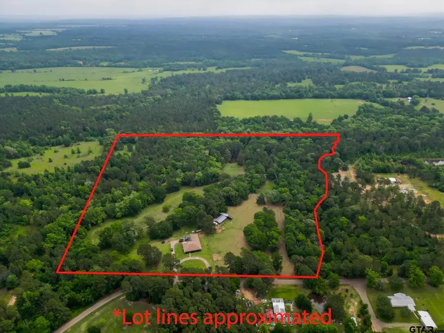 4443 An County Rd 163, Palestine, TX 75801 - Image #3