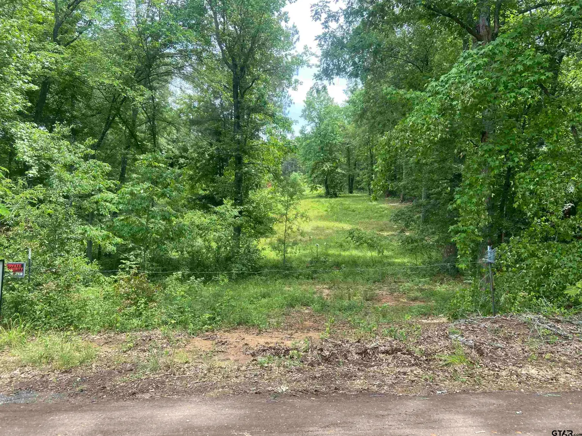 17407 CR 4247, Reklaw, TX 75784 - Image #1