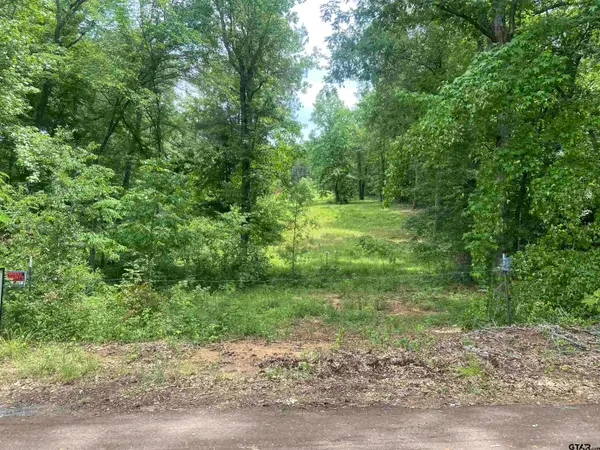 17407 CR 4247, Reklaw, TX 75784