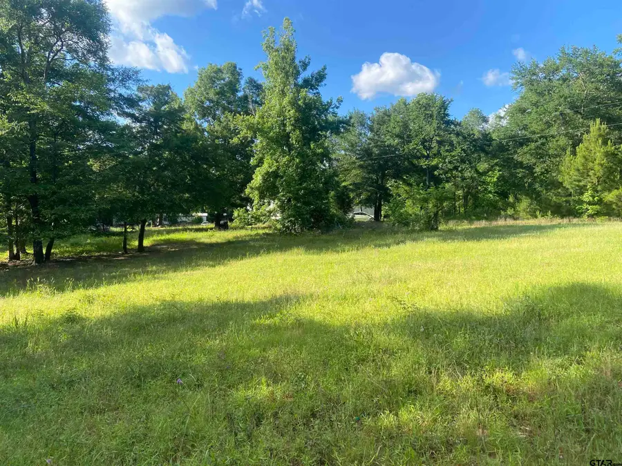 17407 CR 4247, Reklaw, TX 75784 - Image #3