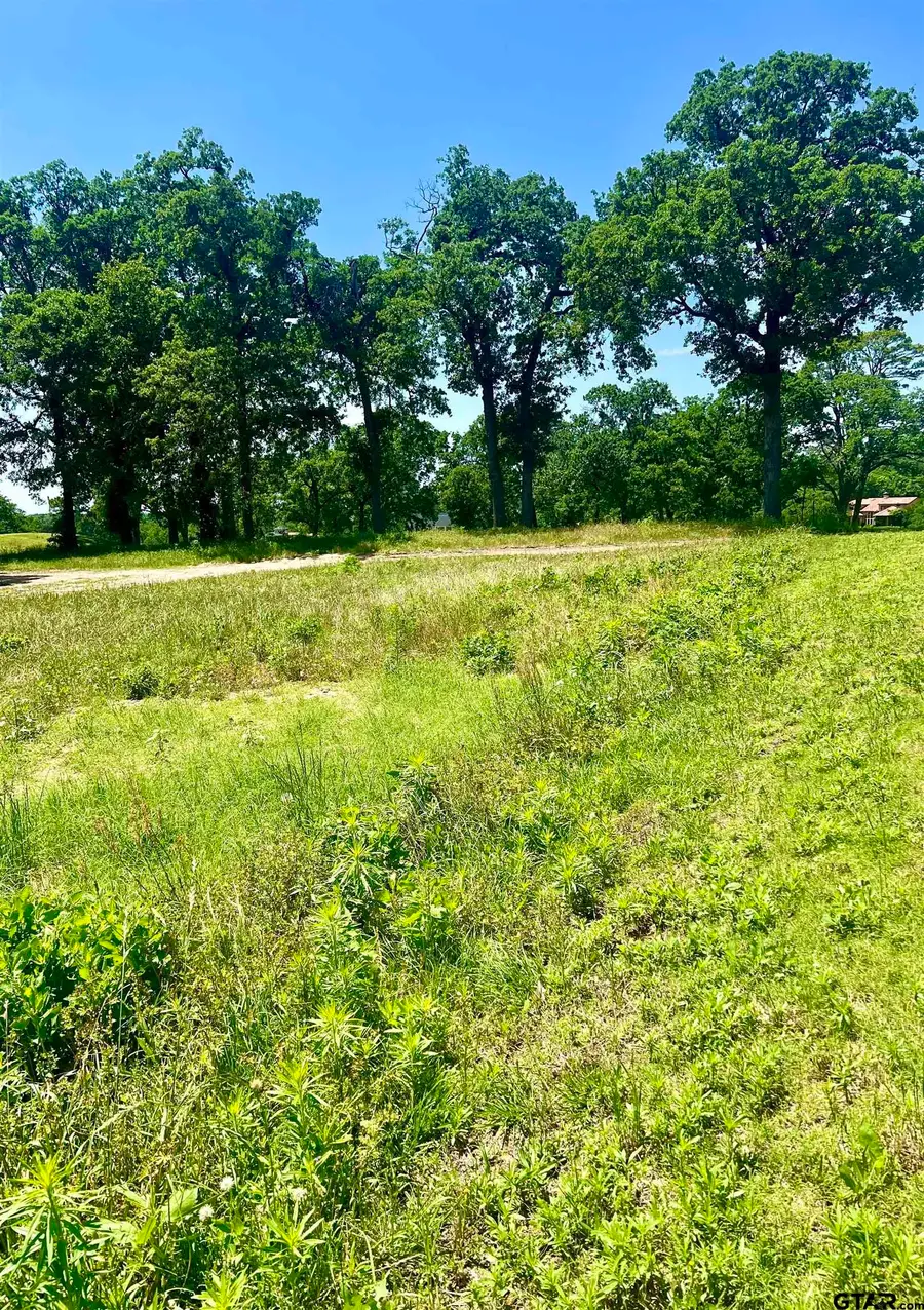 4212 Hogan Dr., Tyler, TX 75709 - Image #2