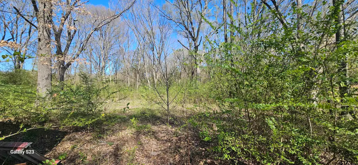 2415 FM 17, Alba, TX 75410 - Image #1