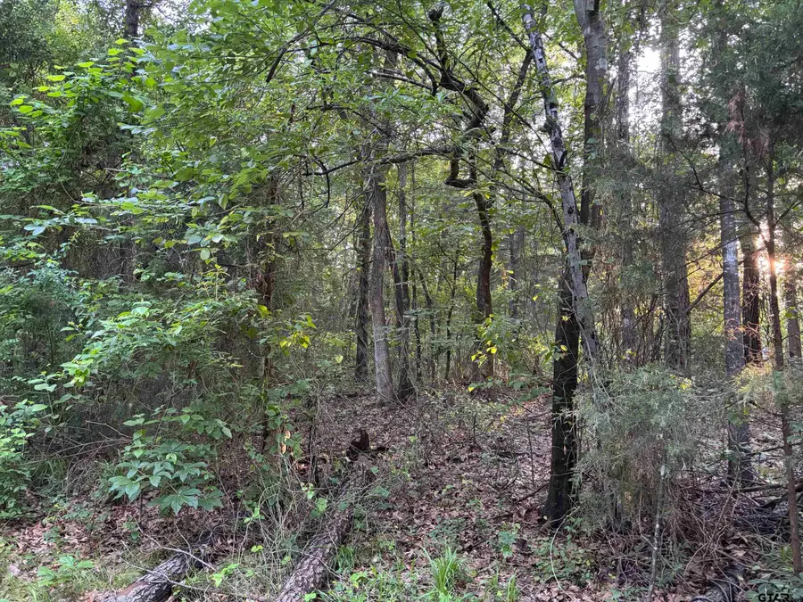 TBD Goliad, Mount Vernon, TX 75457 - Image #2