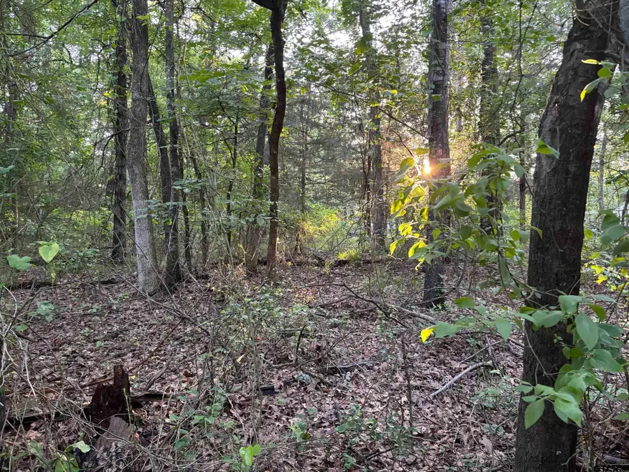 TBD Goliad, Mount Vernon, TX 75457 - Image #3