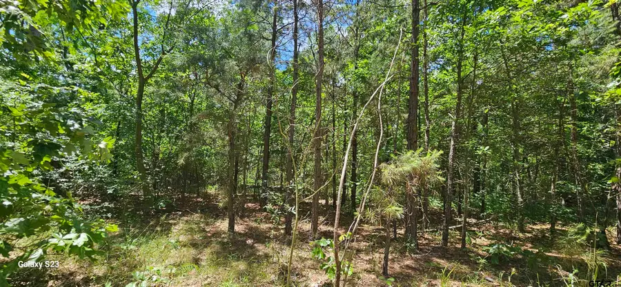 TBD CR 2290, Mineola, TX 75773 - #2