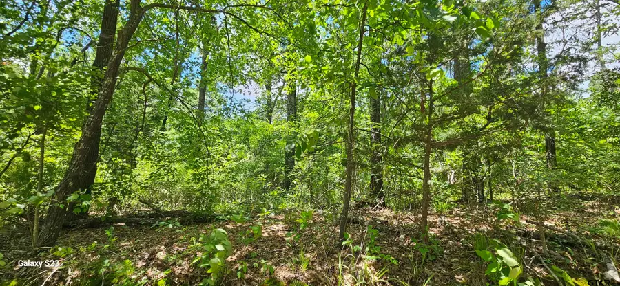 TBD CR 2290, Mineola, TX 75773 - #3