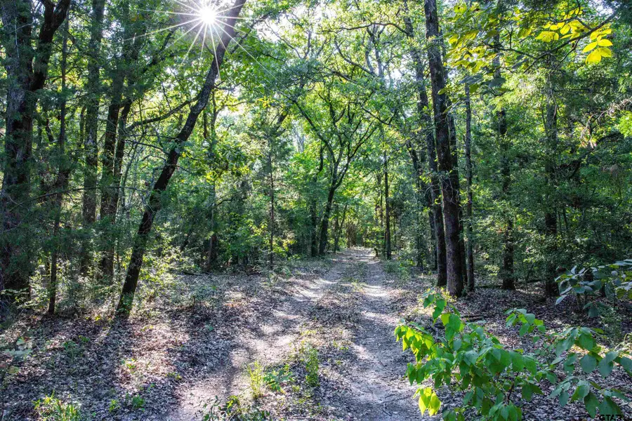 00 CR 4705, Athens, TX 75751 - Image #3