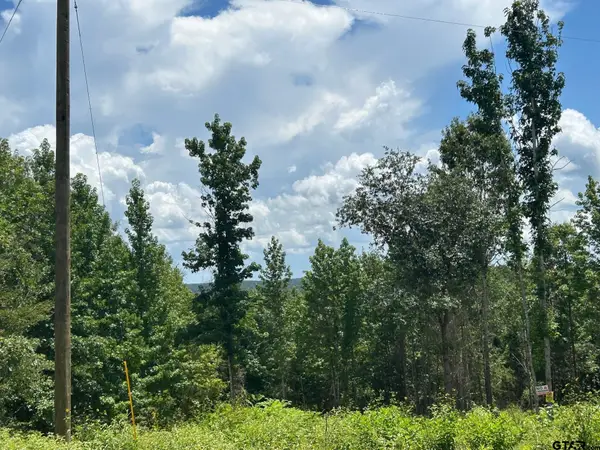 7399 CR 378, Laneville, TX 75667