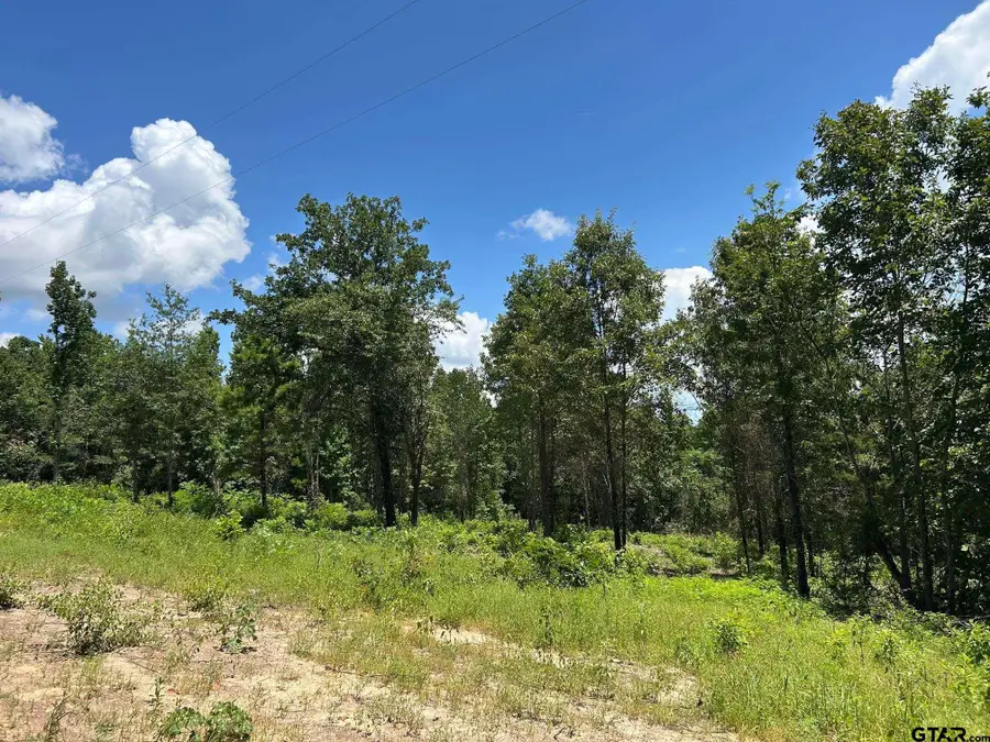 7399 CR 378, Laneville, TX 75667 - Image #2