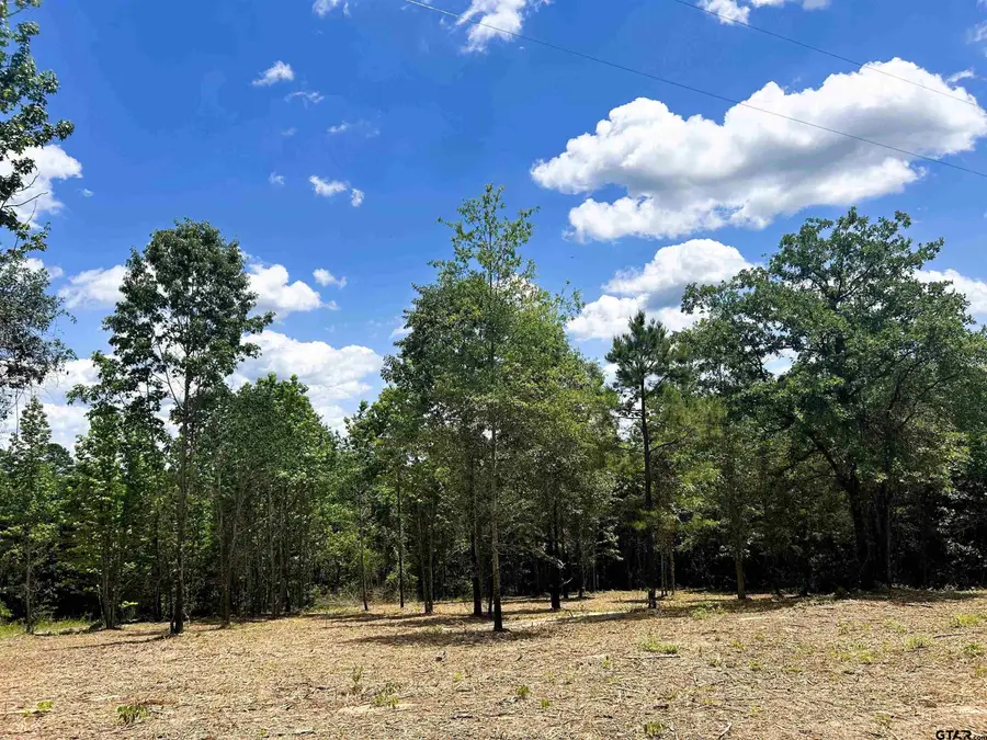 7399 CR 378, Laneville, TX 75667 - Image #3